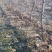 精品占地苹果树走量全部清地处理需要联系价格便宜可先看货