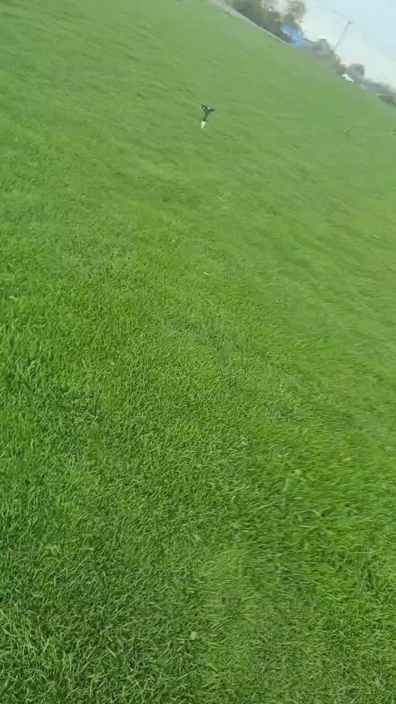 果岭草草坪欢迎随时来电咨询，江苏句容德丰草坪基地