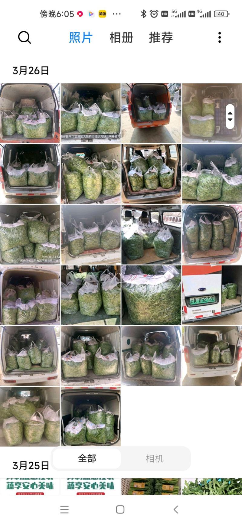 基地直供生态新鲜枸杞芽，每天现采现发！冷链发全国！