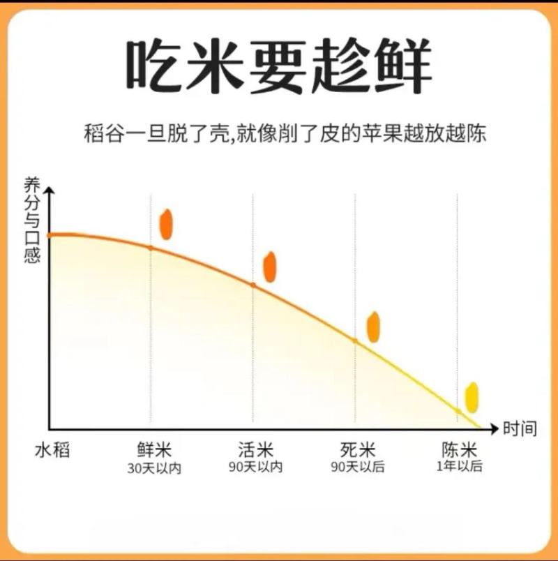 稻花香2号丶五常香米25kg