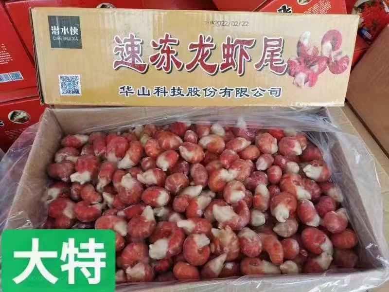 速冻龙虾尾冷冻鲜活小龙虾尾新鲜大号生鲜