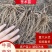 【牛】北苍术朱砂点一年苗，二年苗出售，大量种植，欢迎联系