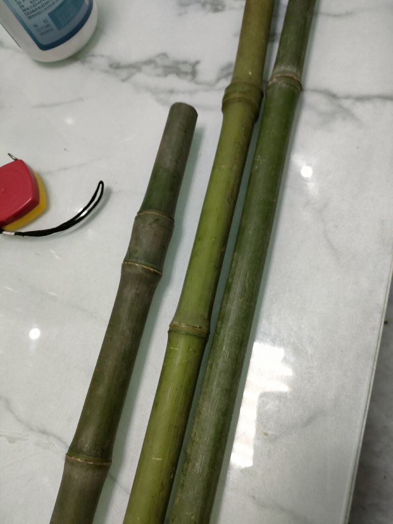 大量批发实心竹