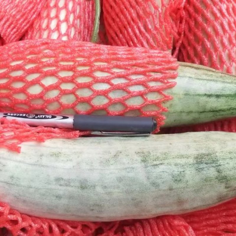 羊角蜜甜瓜