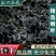 《新货裙带菜》现货批发精选裙带菜批发