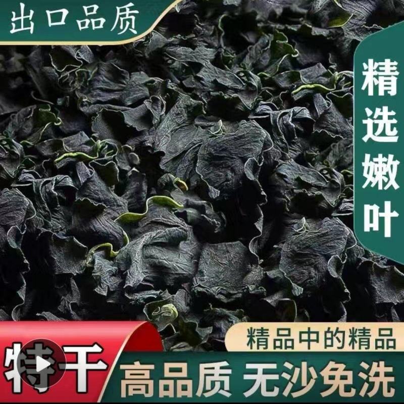《新货裙带菜》现货批发精选裙带菜批发