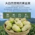 海南万宁精选优质诺丽果｛批发｝