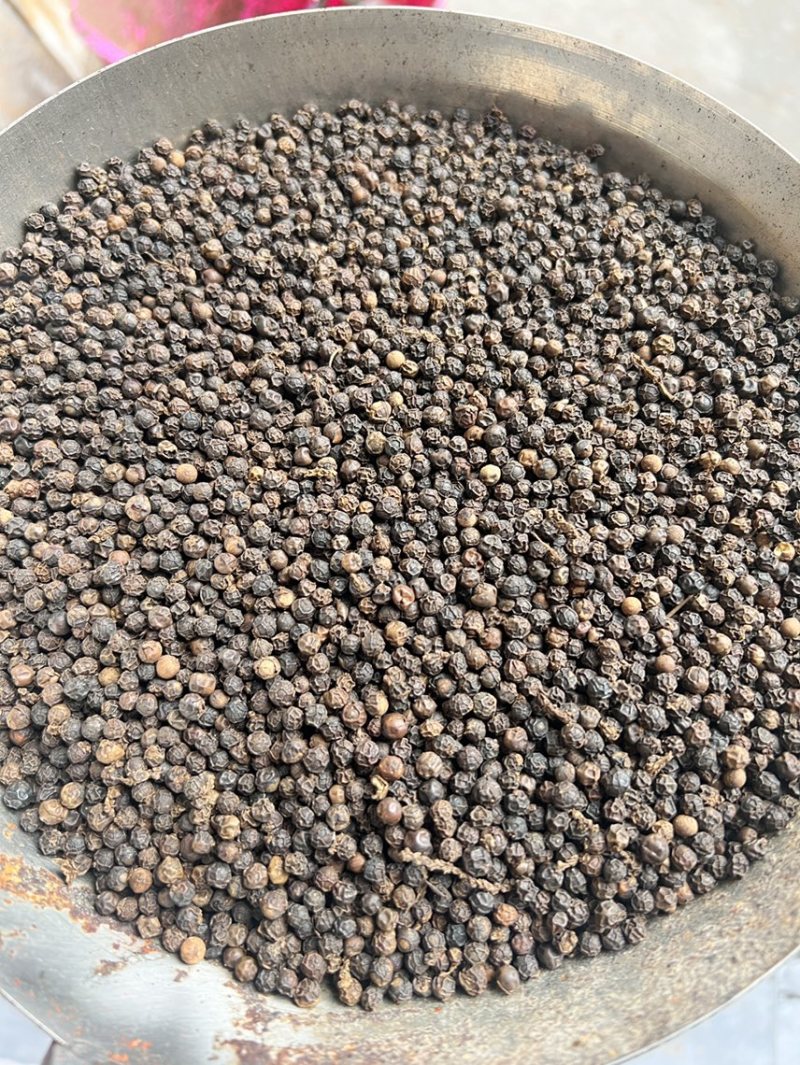 白胡椒，海南胡椒，可打粉加工，质量稳定。可长期供货。