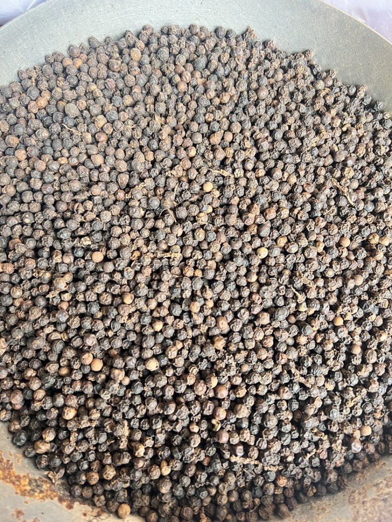 白胡椒，海南胡椒，可打粉加工，质量稳定。可长期供货。