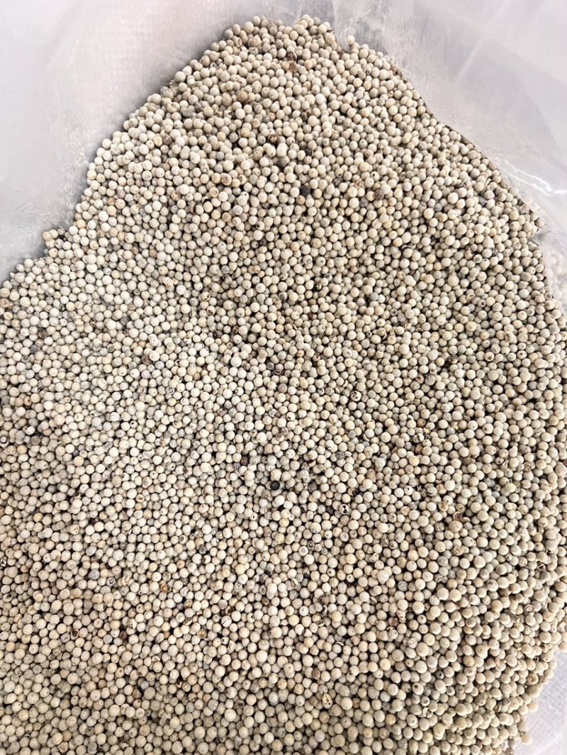 白胡椒，海南胡椒，可打粉加工，质量稳定。可长期供货。