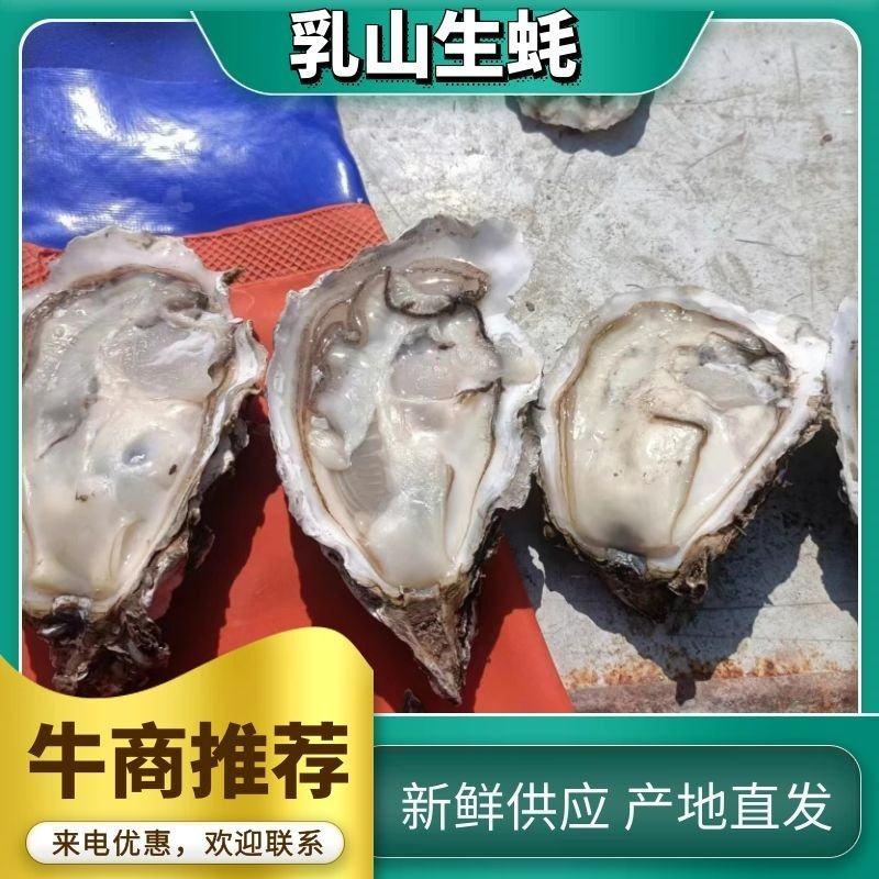【顺丰包邮】威海乳山生蚝产地现捕现发蚝肉饱满欢迎下单