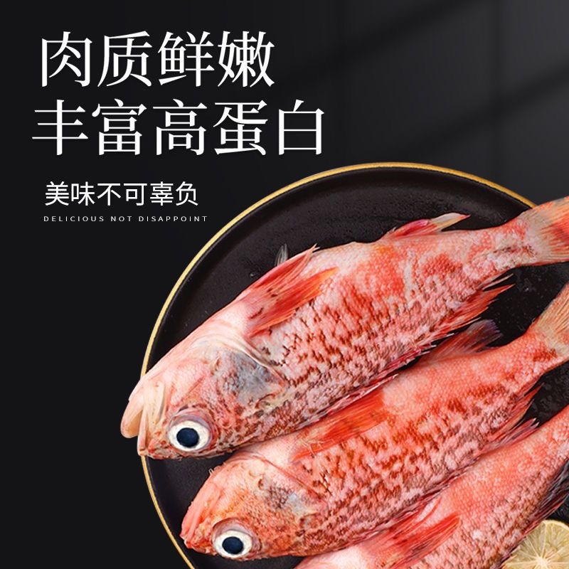 红石斑鱼头斑宝鱼红鱼海鱼新鲜海鱼石斑鱼肉嫩大眼鱼
