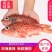 红石斑鱼头斑宝鱼红鱼海鱼新鲜海鱼石斑鱼肉嫩大眼鱼