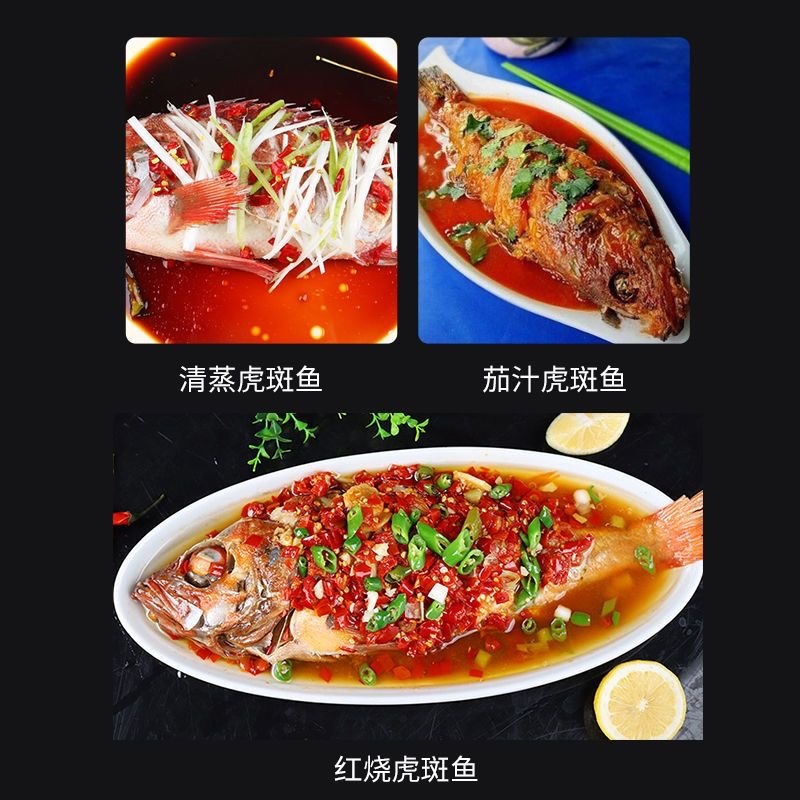 红石斑鱼头斑宝鱼红鱼海鱼新鲜海鱼石斑鱼肉嫩大眼鱼