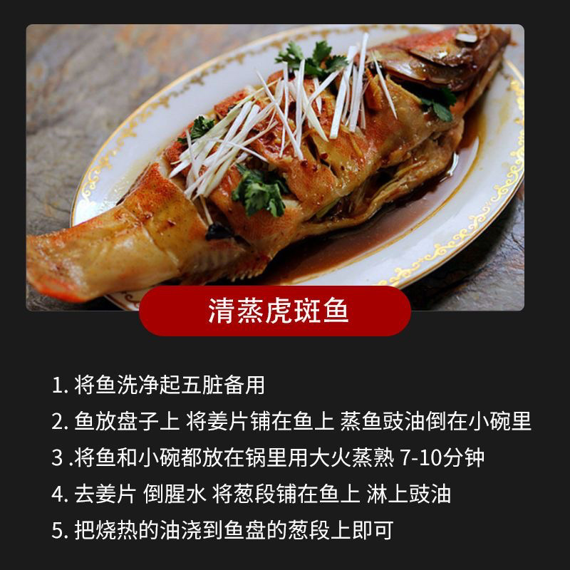 红石斑鱼头斑宝鱼红鱼海鱼新鲜海鱼石斑鱼肉嫩大眼鱼