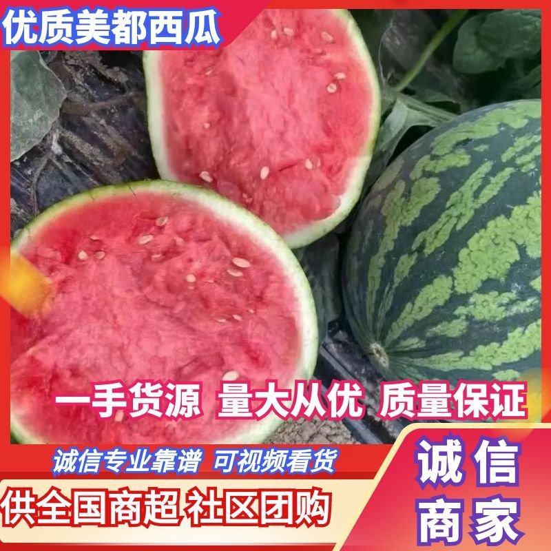 甘肃西瓜无籽美都麒麟西瓜口感好皮薄支持视频