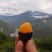 汶川高山西梅