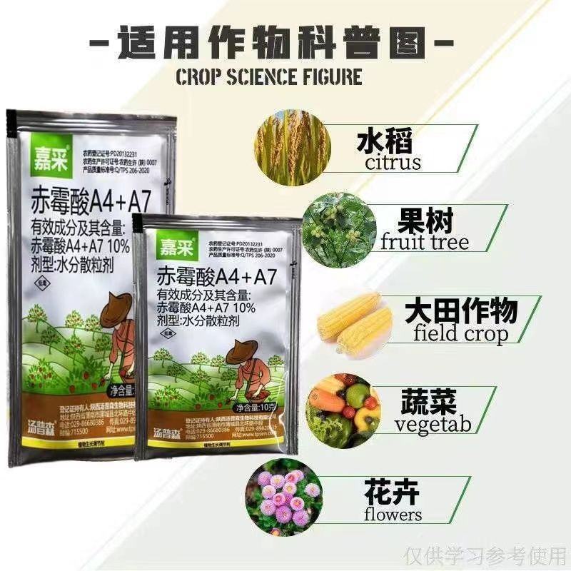 嘉采10%赤霉酸A4+A7苹果树调节生长促进果实生长增加