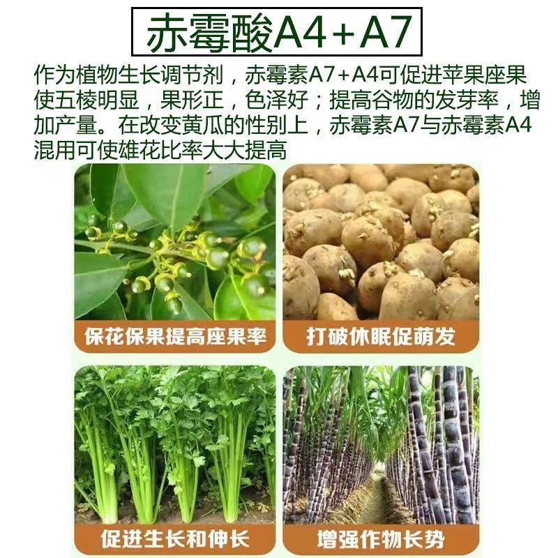 嘉采10%赤霉酸A4+A7苹果树调节生长促进果实生长增加