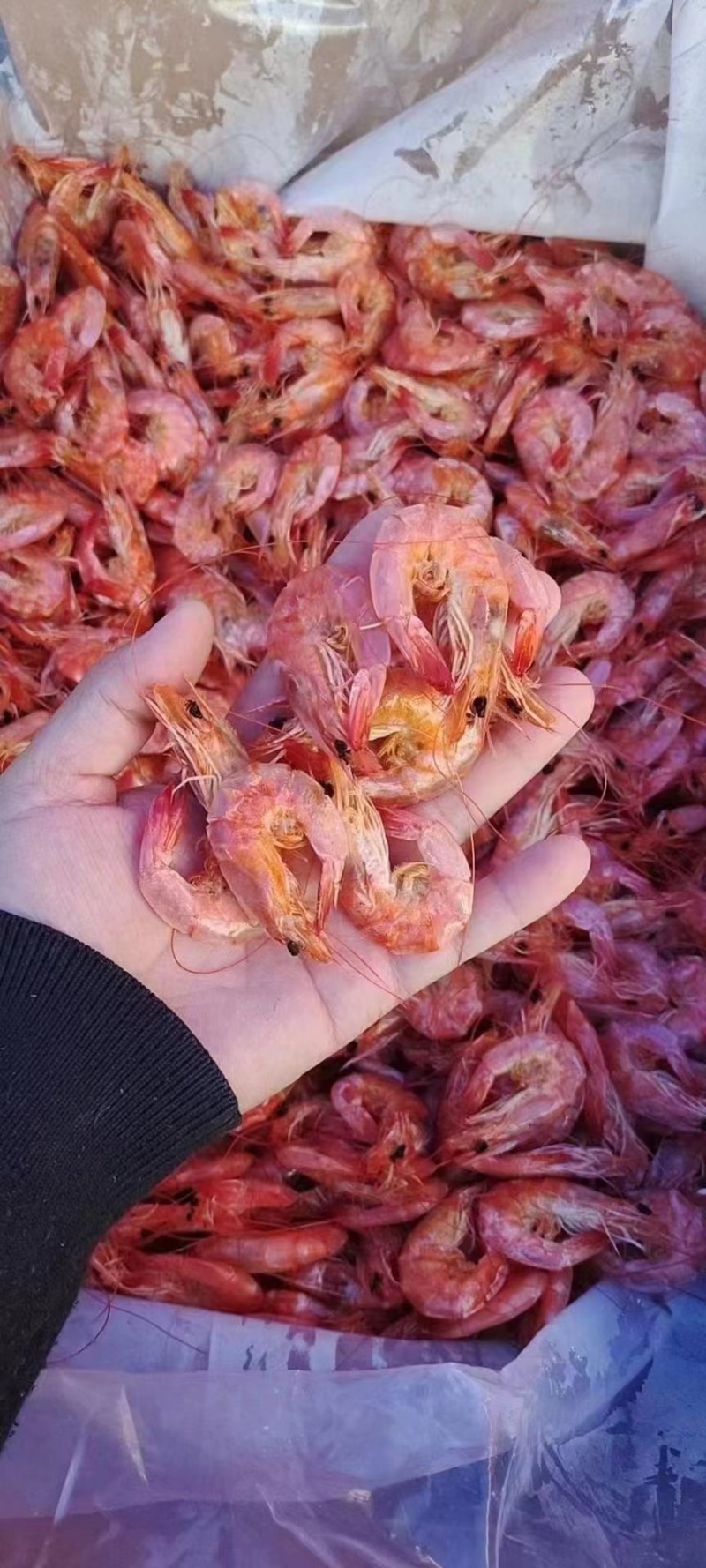 烤虾干厂家直供！证件齐全一件代发！量大从优！