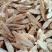 粉质野生牛大大力新货无硫香味十足各种规格批零兼营