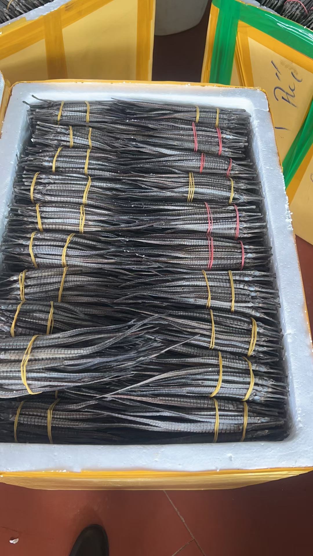 还有大号四角海龙，尖海龙，海尖。需要海龙的咨询有哪些规格，量大价优