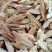 粉质野生牛大大力新货无硫香味十足各种规格批零兼营