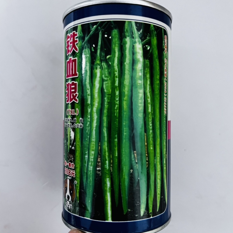 海迈极光线椒种子早熟顿尖型软皮线椒品种杂交一代品种种子
