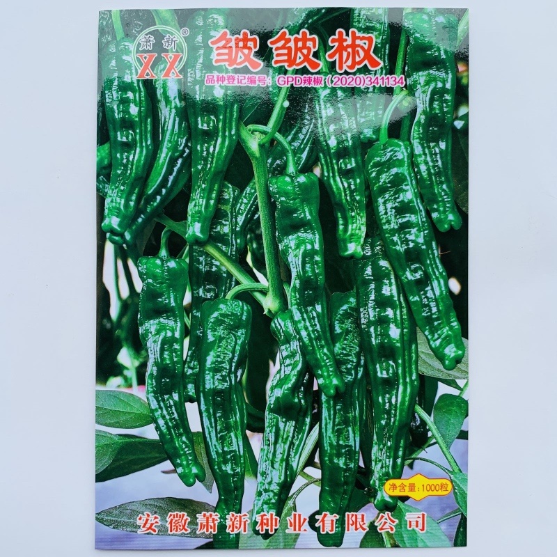 黑金刚辣椒种子长果小皱皮更黑亮高产皱皱辣香辣邹皮椒山东蔬
