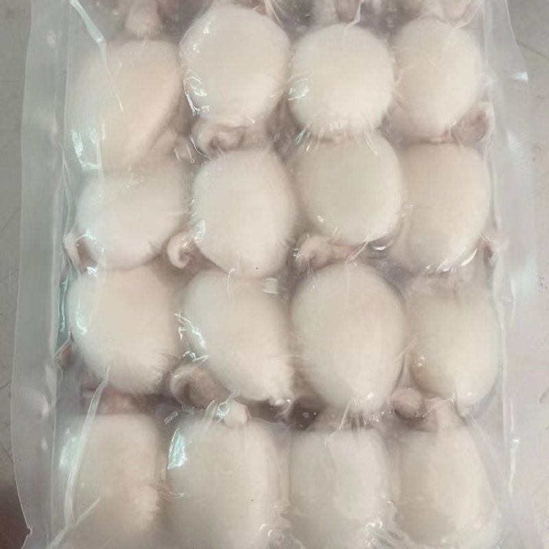 墨鱼仔，酒店排挡美食城，厂家直供，量大可议价，欢迎致电
