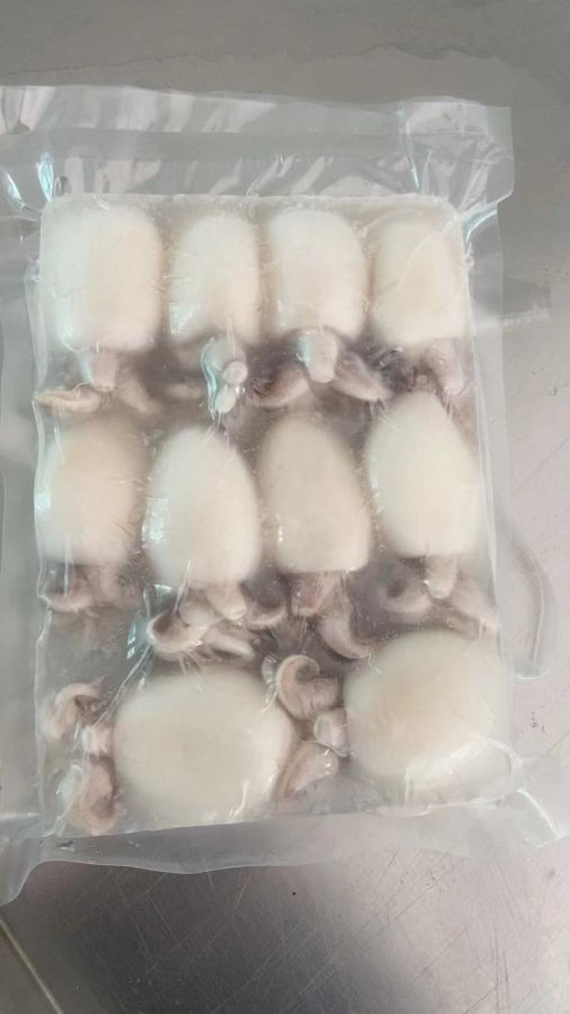 墨鱼仔，酒店排挡美食城，厂家直供，量大可议价，欢迎致电