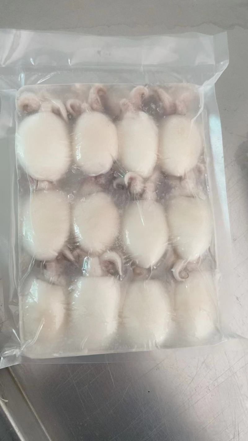 墨鱼仔，酒店排挡美食城，厂家直供，量大可议价，欢迎致电