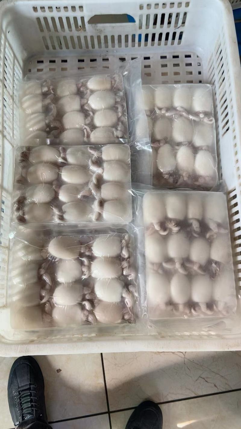 墨鱼仔，酒店排挡美食城，厂家直供，量大可议价，欢迎致电