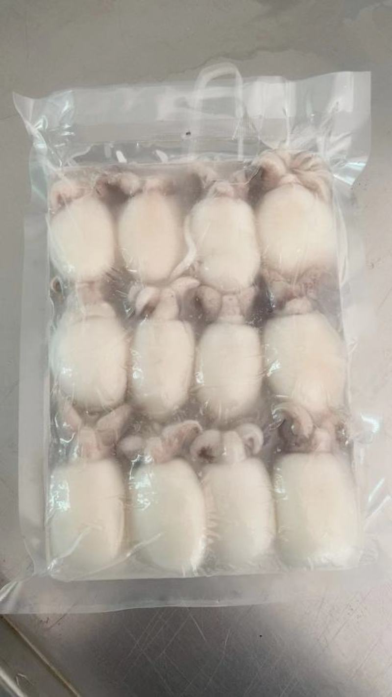 墨鱼仔，酒店排挡美食城，厂家直供，量大可议价，欢迎致电