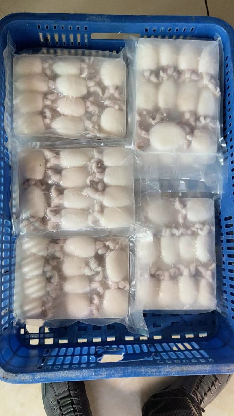 墨鱼仔，酒店排挡美食城，厂家直供，量大可议价，欢迎致电