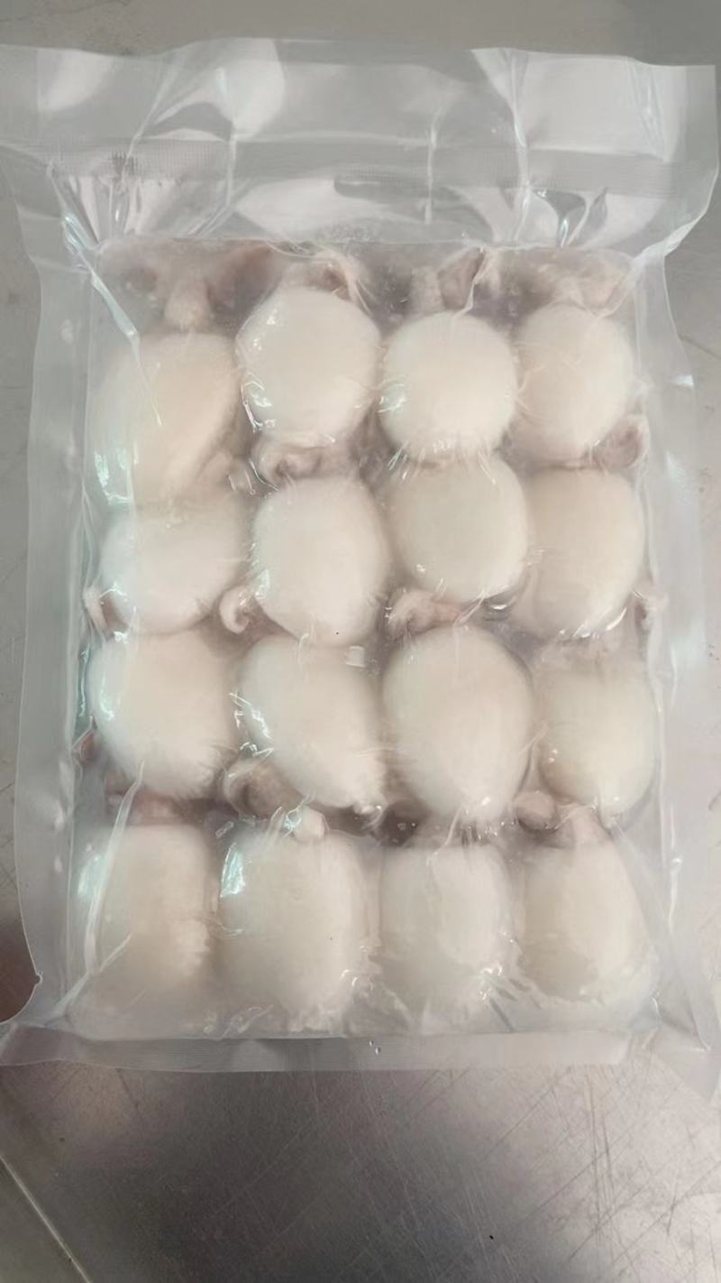 墨鱼仔，酒店排挡美食城，厂家直供，量大可议价，欢迎致电