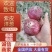 山东紫皮洋葱冷库直供代发全国商超批发欢迎咨询