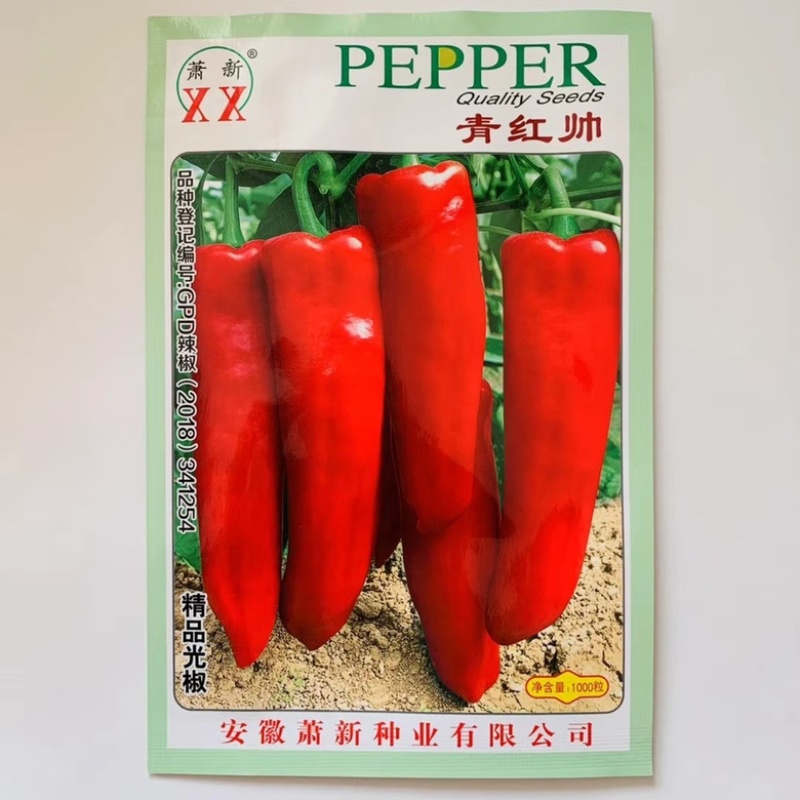 萧新青红帅辣椒种子粗长牛角，早熟大果型，种子