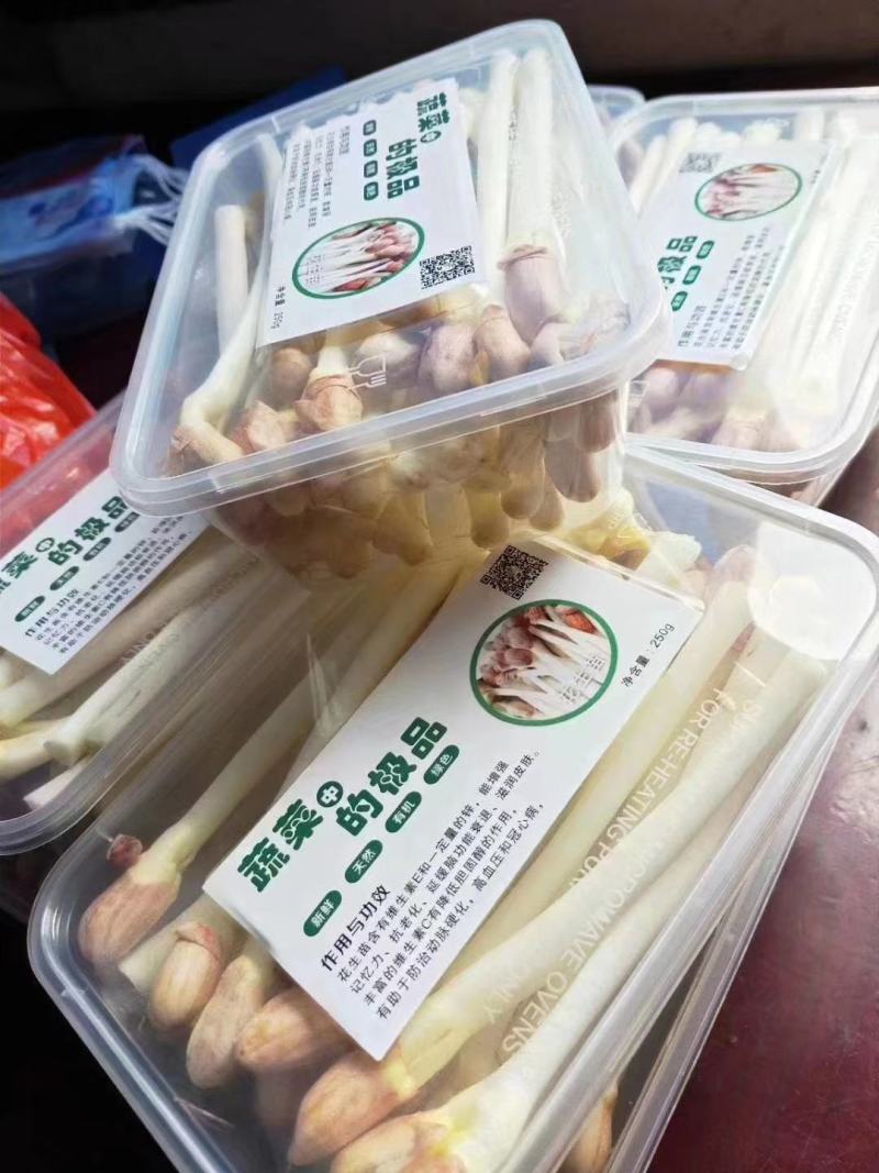 花生芽优质花生芽水培花生芽盒装花生芽培育基地
