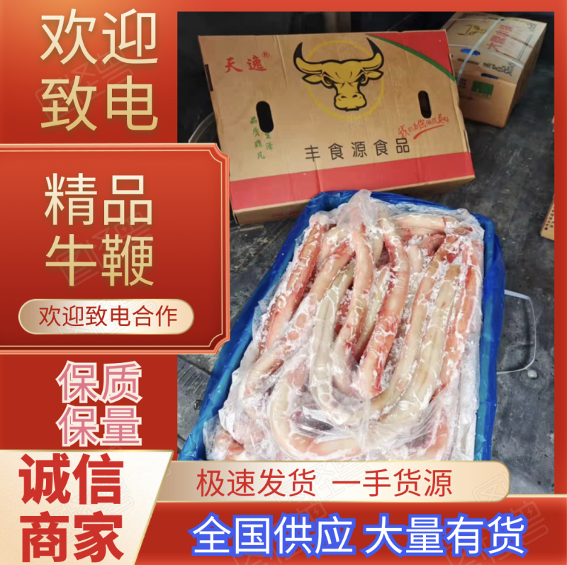 【精品】半成品牛鞭冷冻牛副产品长期有货厂家直销