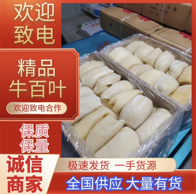 【牛商推荐】半成品牛百叶品质保障厂家直营质量好价格优