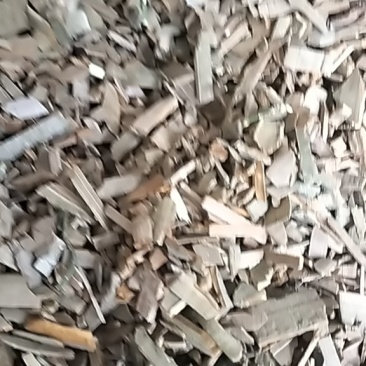 鬼箭羽选货片