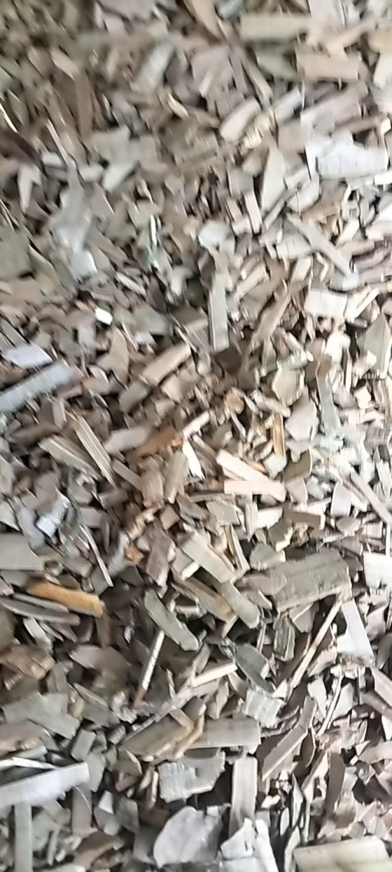 鬼箭羽选货片