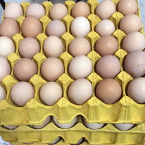 峨眉山高山富硒土鸡蛋双色可提供富硒资质粮食鸡蛋