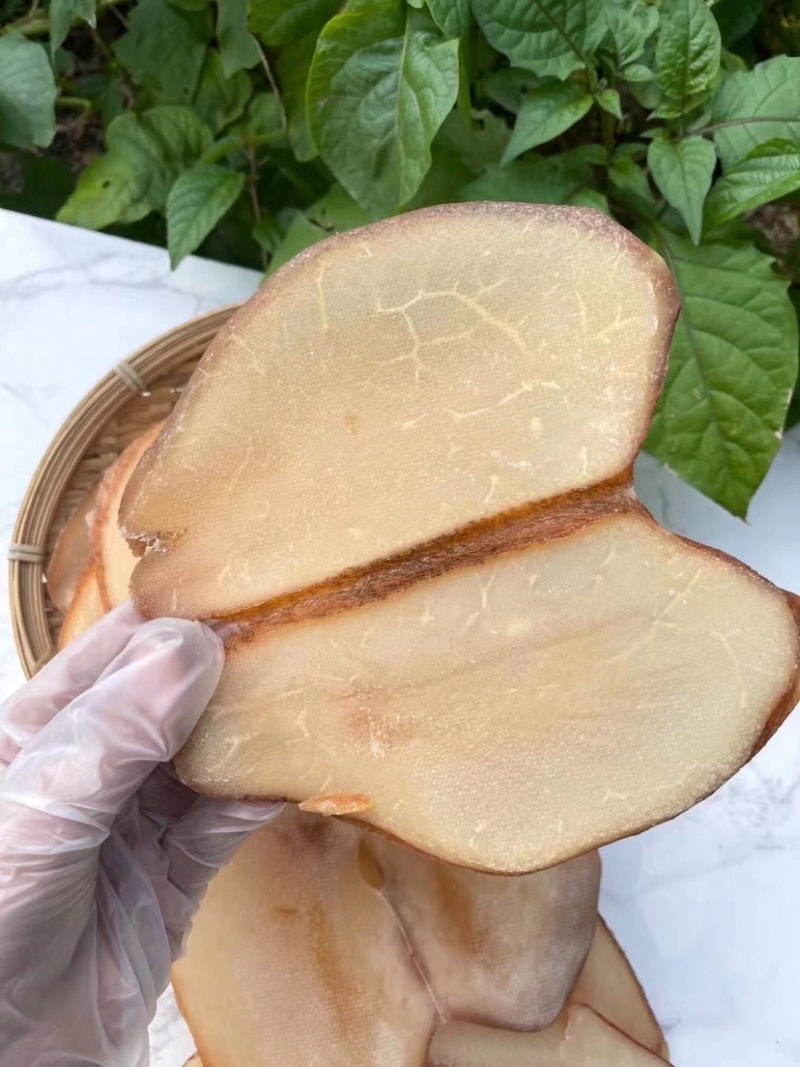 响螺片干货足干品质好长期批发