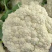 【精选】江苏有机花，松花菜产地直发保证质量，物美价廉