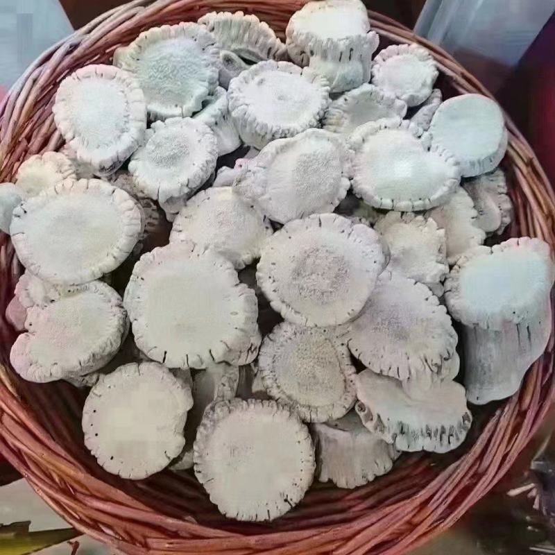 鹿角帽粉