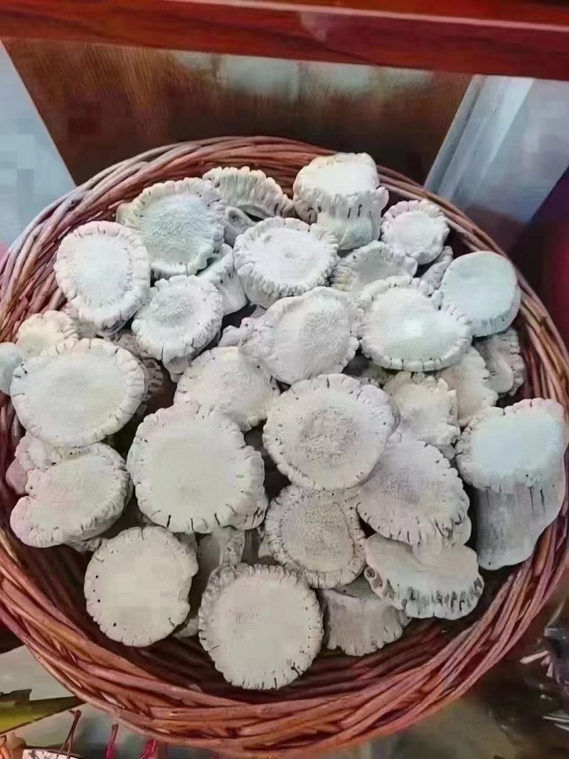 鹿角帽粉