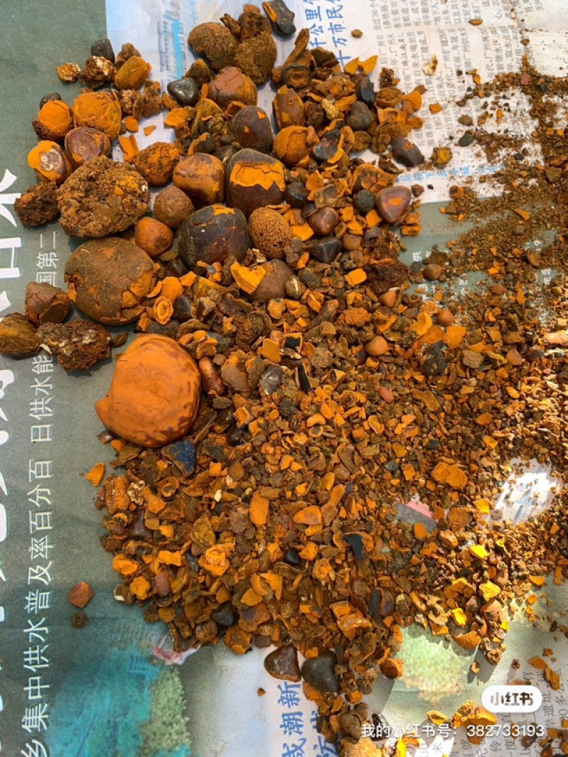 本公司长期在广州高价上门收购天然牛黄。
