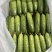黄瓜、番茄、胡萝卜、大姜、椒类、土豆全国联采